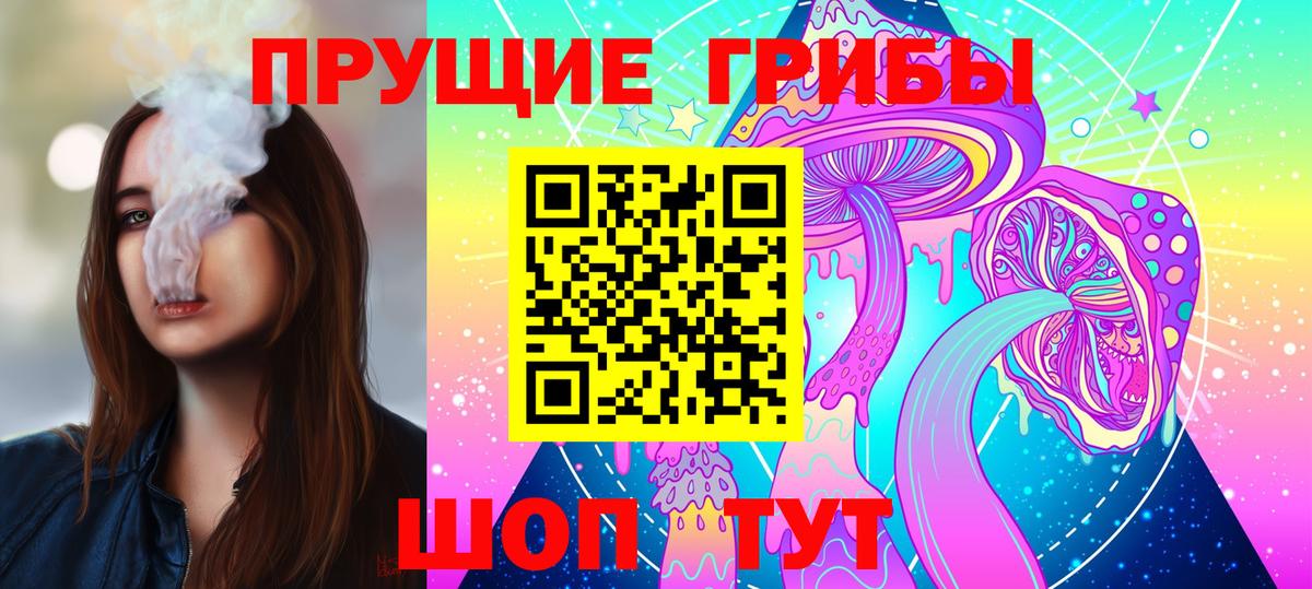 Галлюциногенные грибы Psilocybine cubensis Кировск