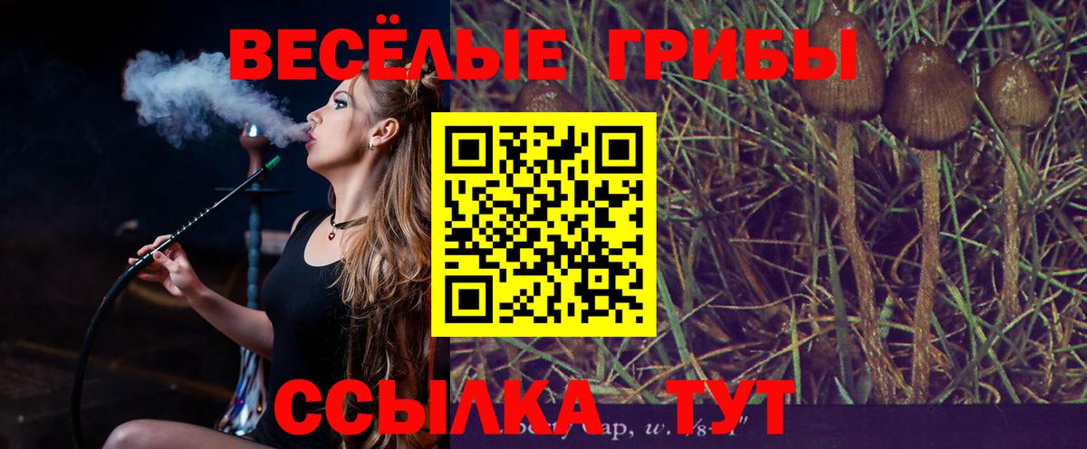 Кировск  Псилоцибиновые грибы GOLDEN TEACHER  Галлюциногенные грибы Psilocybe  где можно купить наркотик  Вход с VPN 